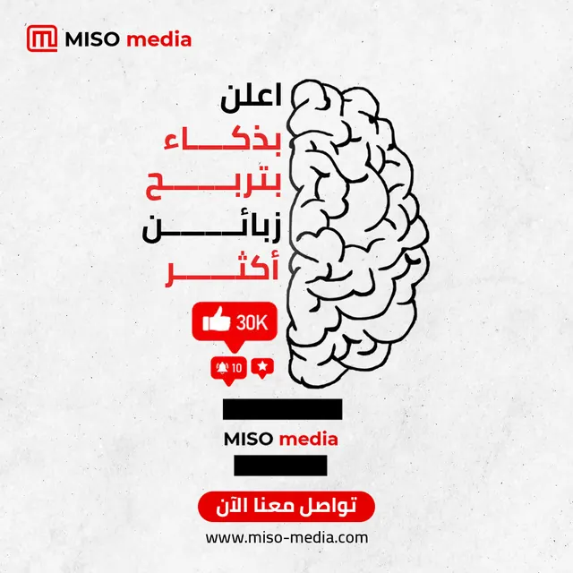 Paid Advertising Management, Meta, Google, TikTok & Snapchat - miso