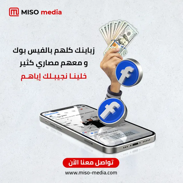 Paid Advertising Management, Meta, Google, TikTok & Snapchat - miso