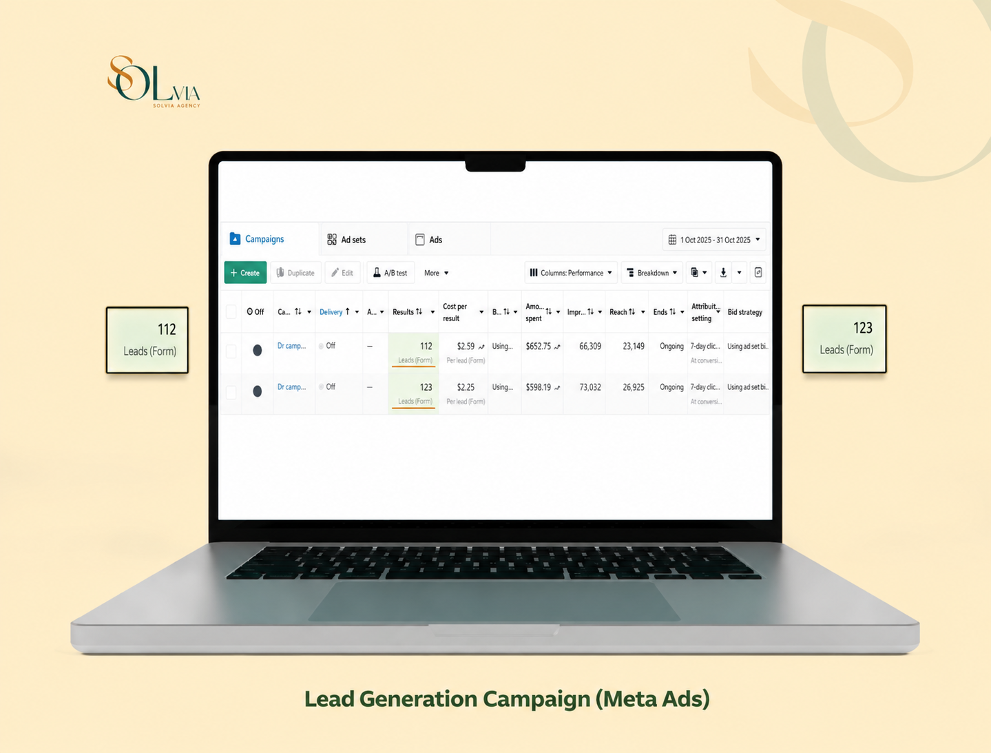 Google Ads campaign results dashboard, Solvia Agency client
